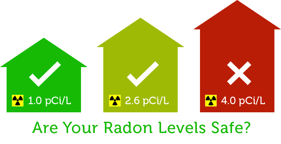 Asheville Pest Control Termite, Water, Radon Inspections